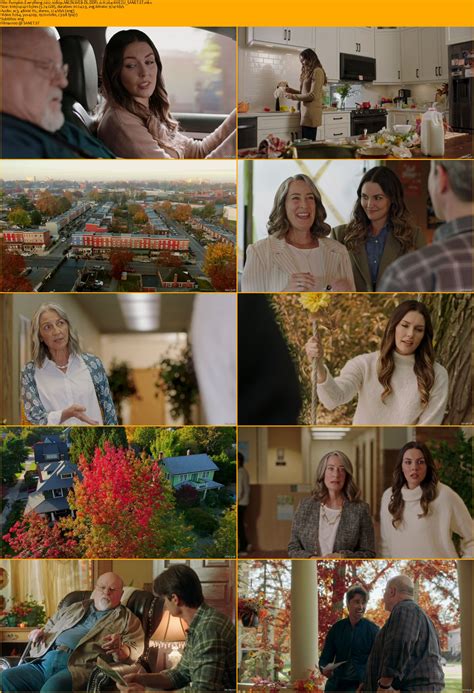 el presidente s02e06 1080p hd|El.Presidente.S02.Complete.German.DL.1080p.WEB.h264 .